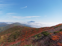 秋田駒の紅葉ととおくに岩手山