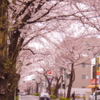 IMGP6458