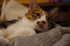 IMGP6316