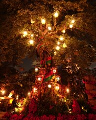 IMG_20181215_000730_800