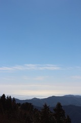 野根山街道　尾根