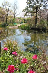 北川村｢モネの庭｣睡蓮の池付近
