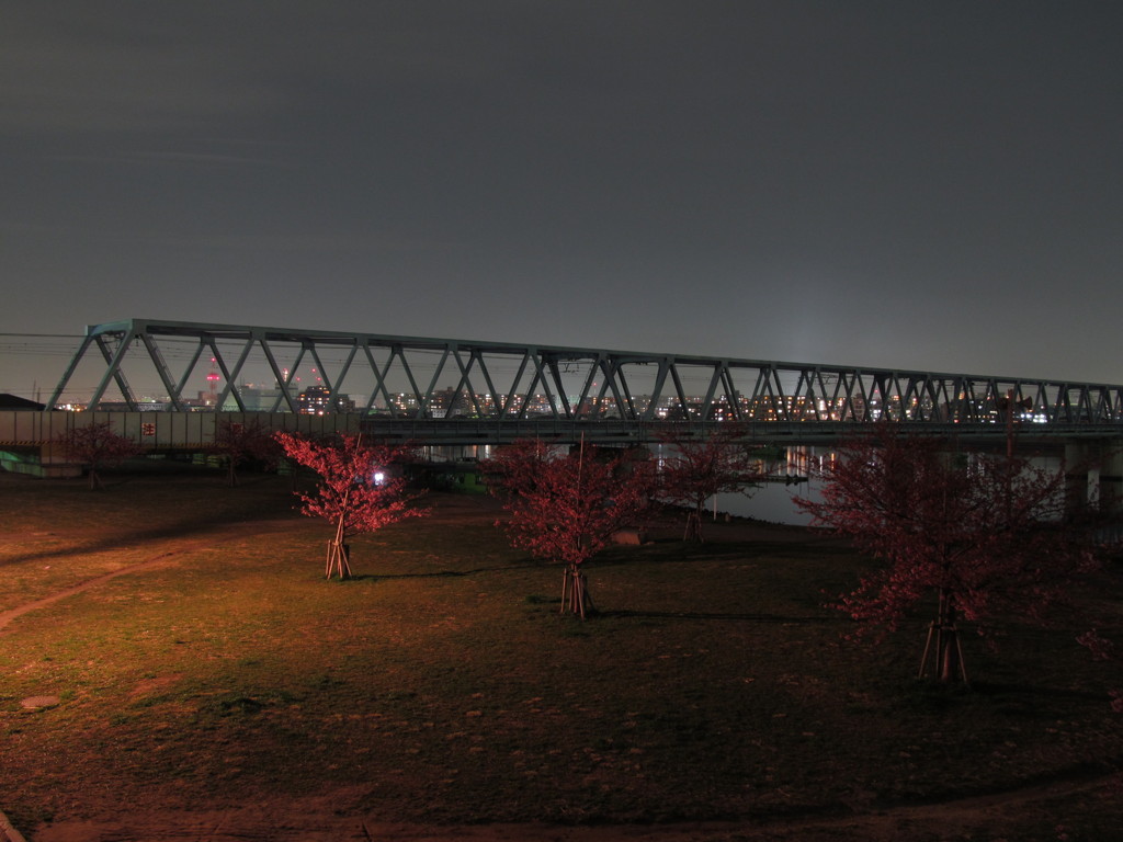 夜の江戸川