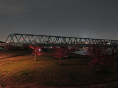 夜の江戸川