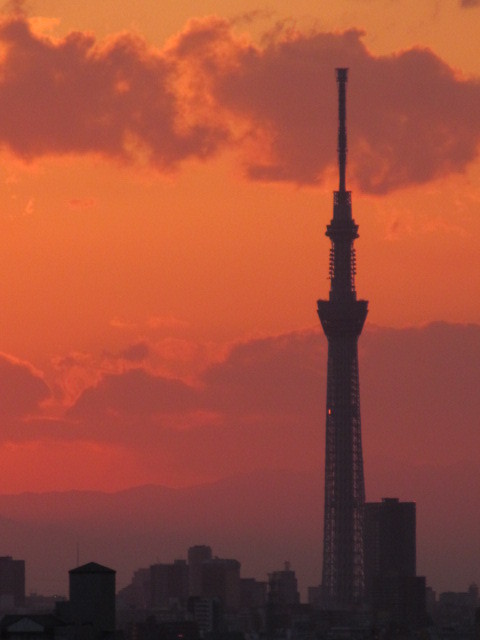 スカイツリー