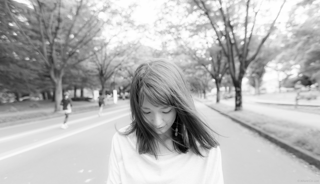 秋の光