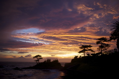 夕日