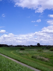 img275