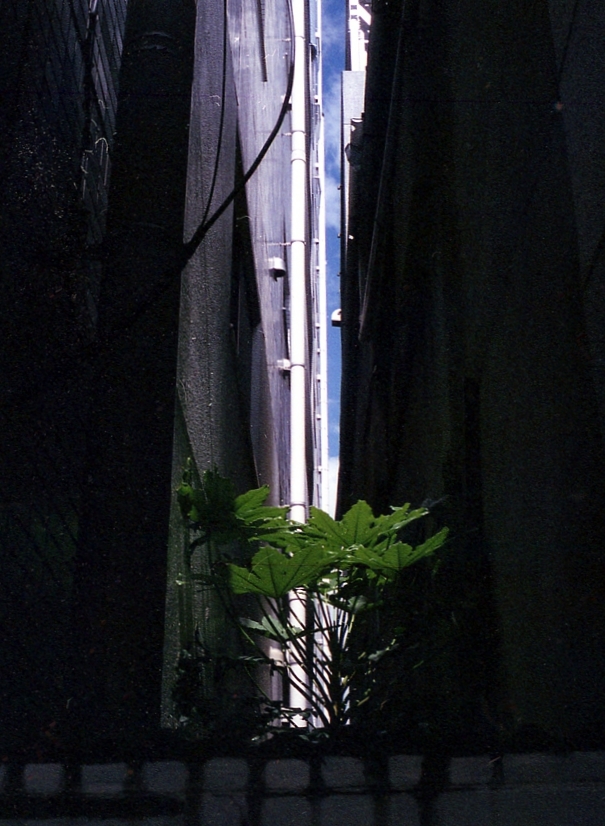 img029
