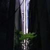 img029