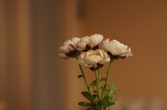 DSC00430