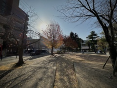 1A288541-E1A2-4115-A040-4DFA35E4D2D2