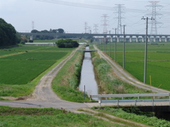 柏の川原