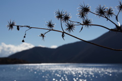 秋の花火　本栖湖