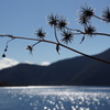 秋の花火　本栖湖