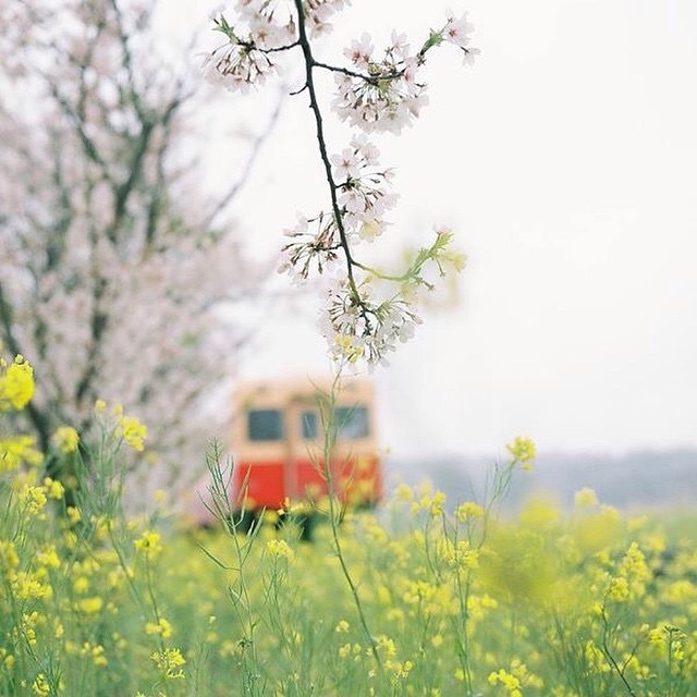 春色の汽車に乗って