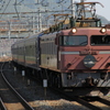 ローピンEF81