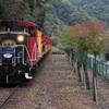 嵯峨野観光鉄道トロッコ列車