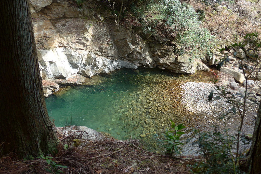 綺麗な清流