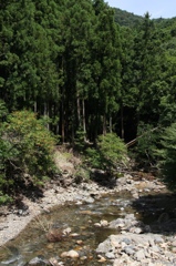 山の渓流