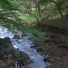 RAW現像はしてないけれど。