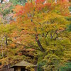 西行庵