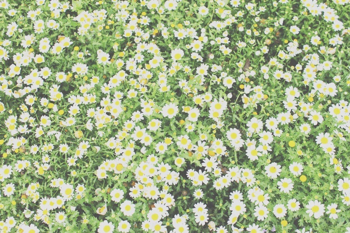 はな
