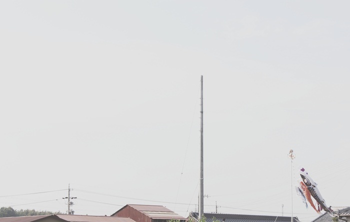 こいのぼり