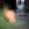 平穏