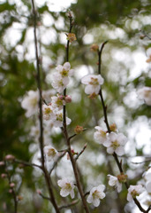 yuyw 043