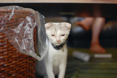 じとーーー