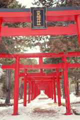 伏見稲荷神社