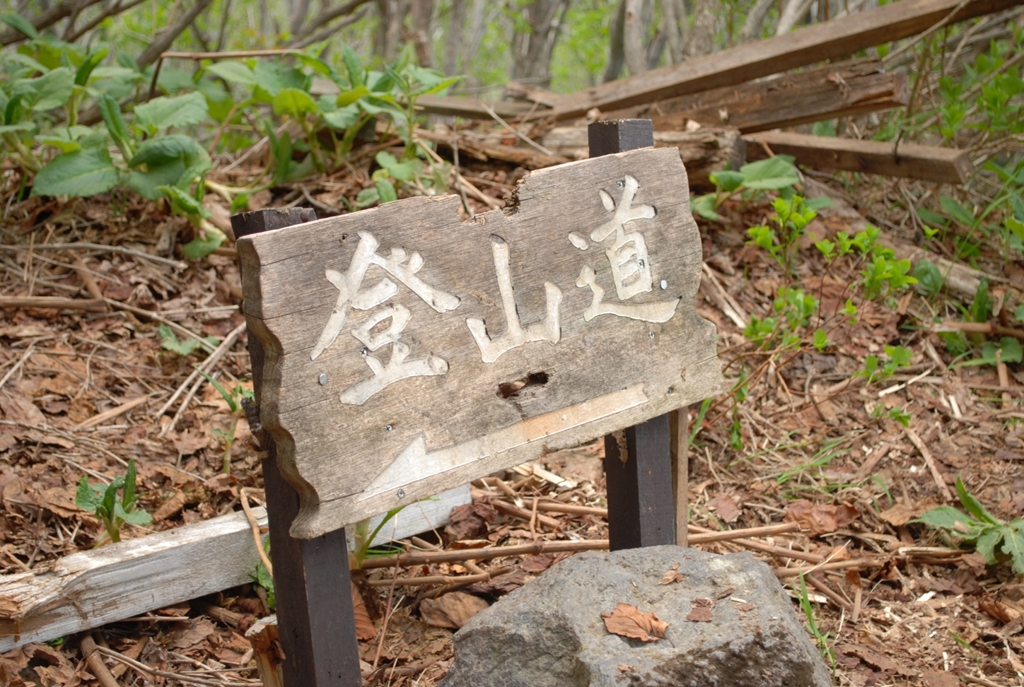登山道