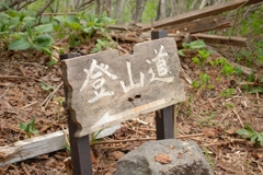 登山道