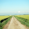 田んぼ道