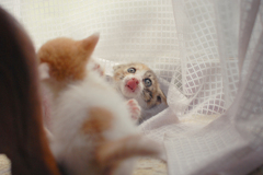 うへへへ