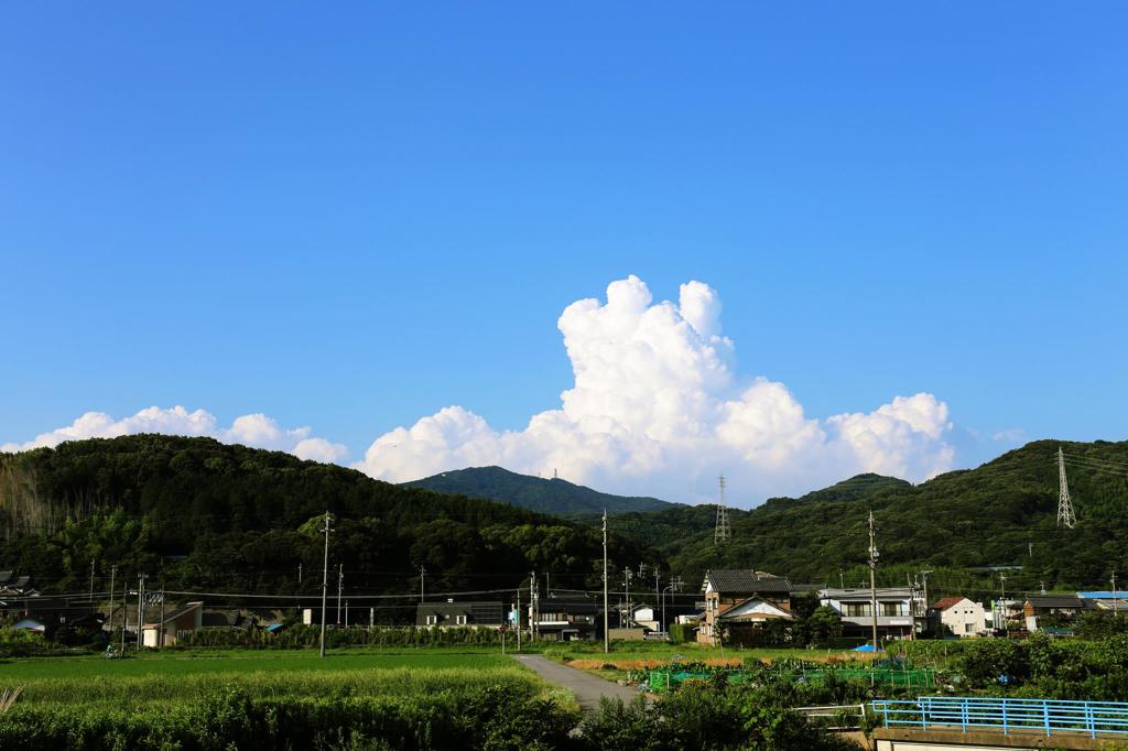 初夏凛々