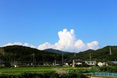 初夏凛々