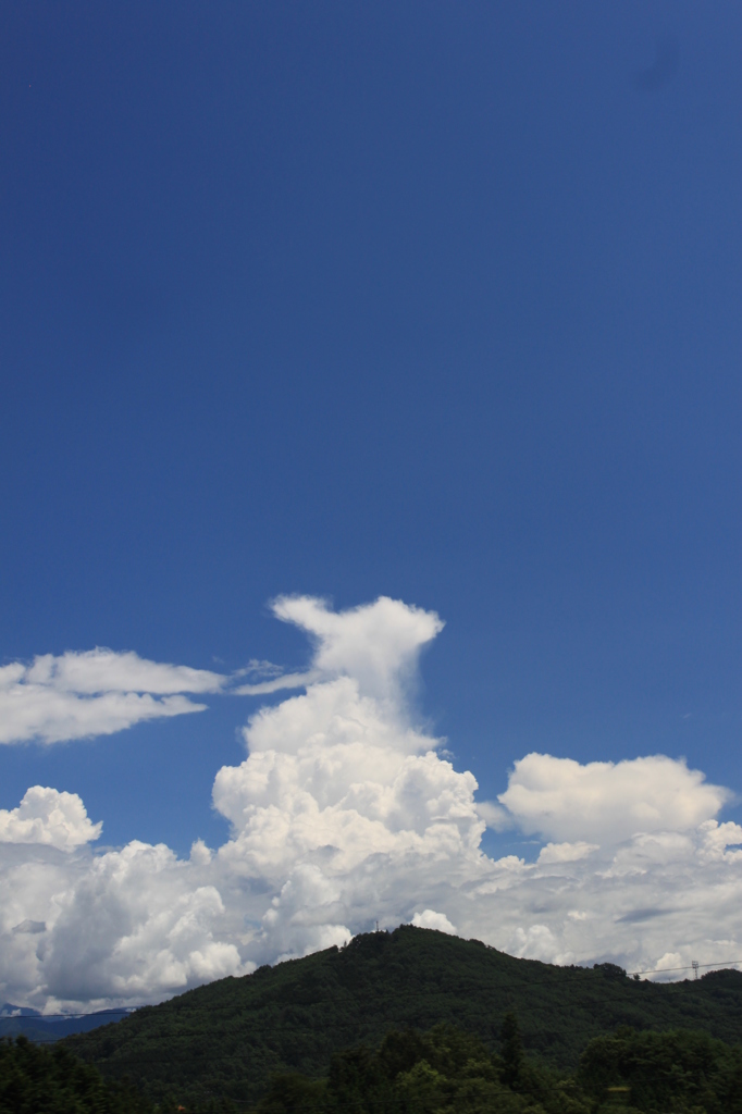 海老フライ雲