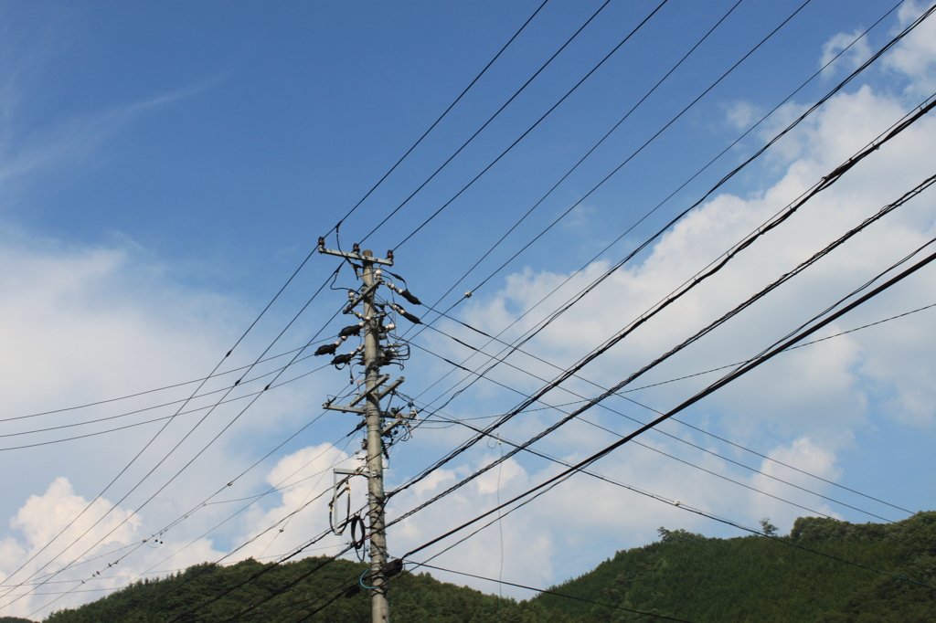 電信柱