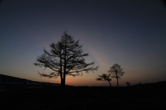 IMG_2001夜明け2