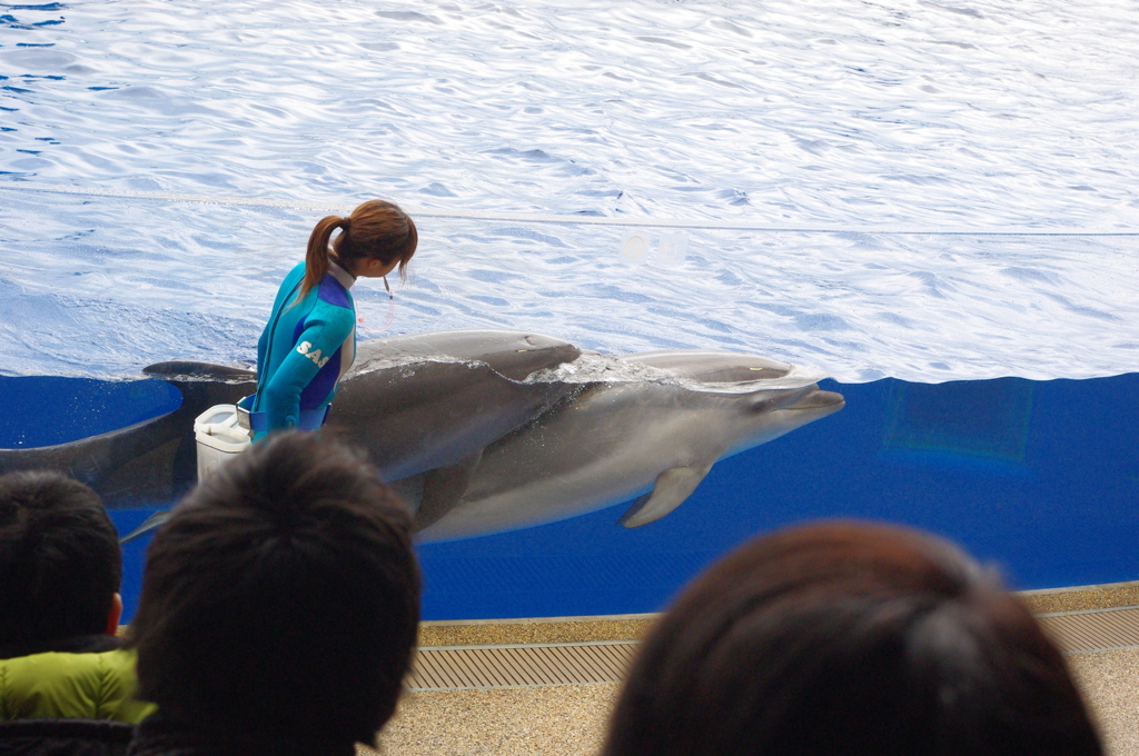 京都水族館　仲がいい