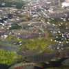 京都水族館　旨そうｗ
