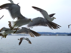 好きな食べ物はかっぱえびせんです。