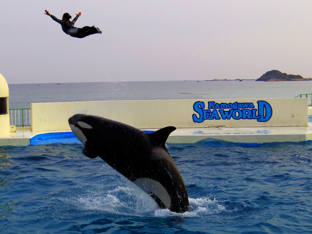 スーパージャンプ！