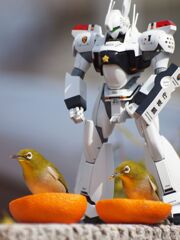 ヒヨドリ避け(;^_^A