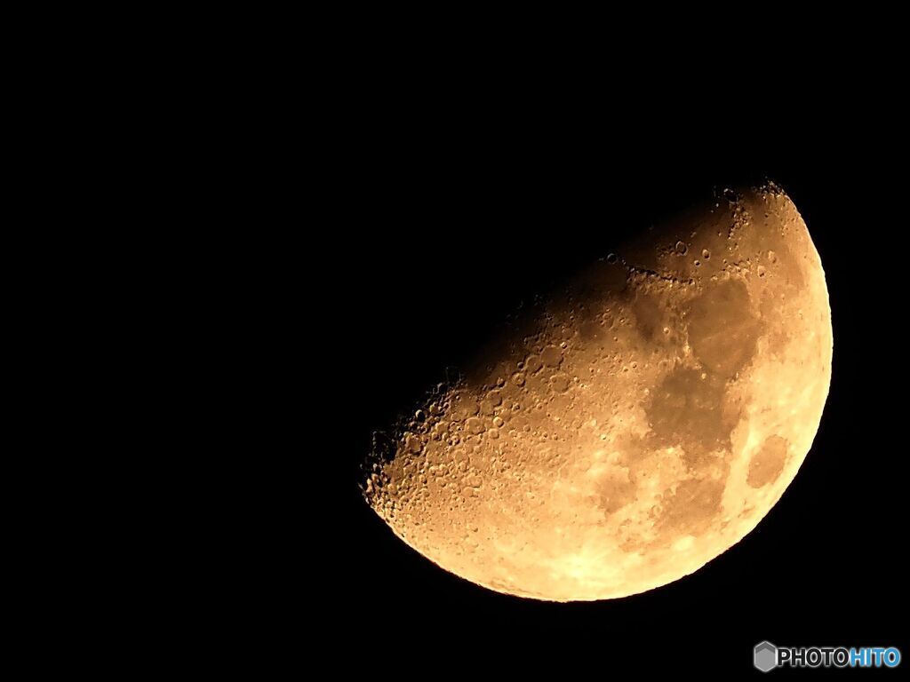 月は今夜も見ている