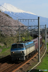 過去画　春の有名撮影地