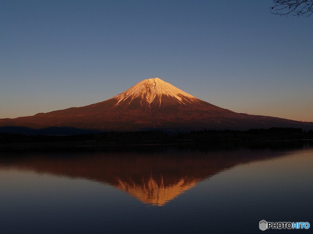 紅富士