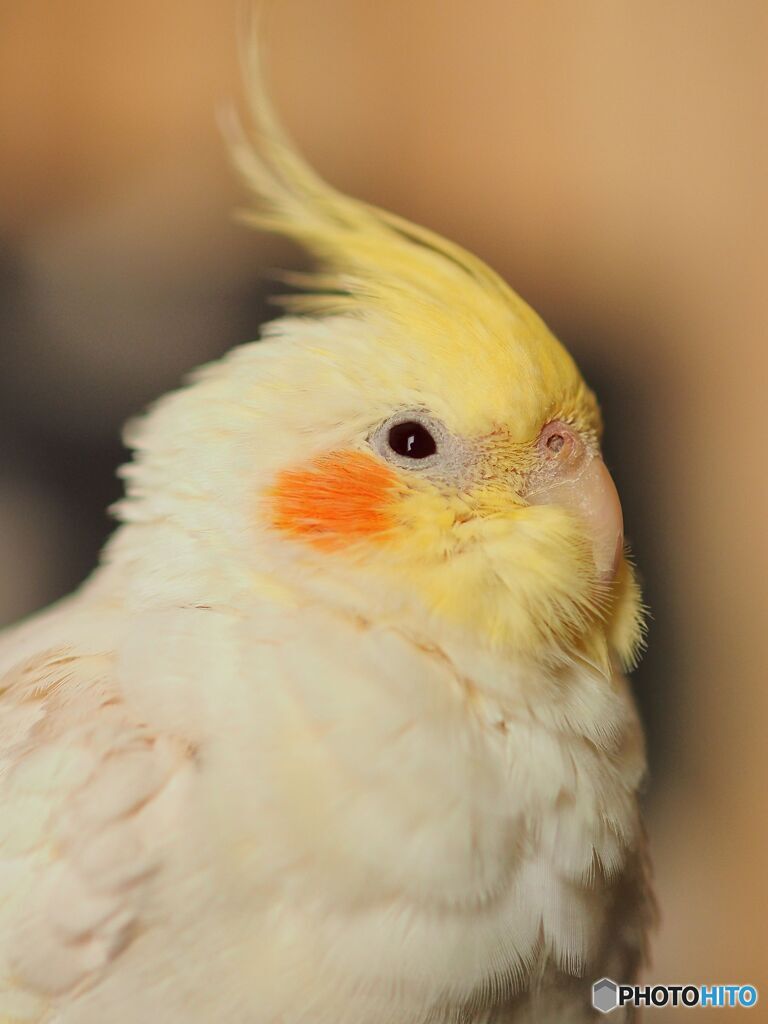 我が家の家族２